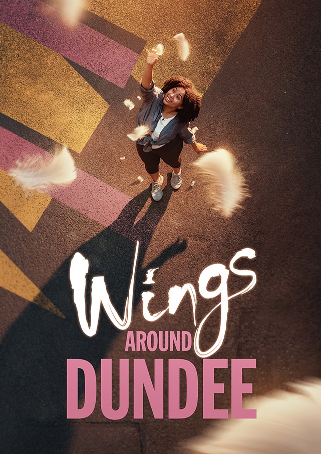 additional image for Wings Around Dundee; Animated Artwork